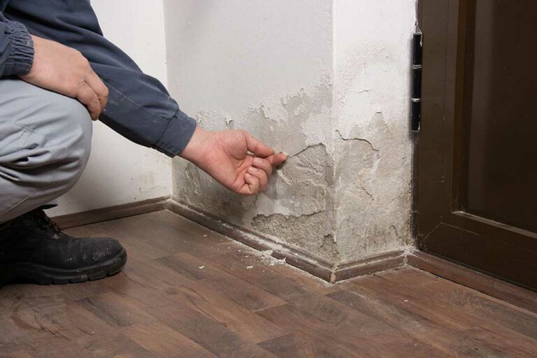 What can a landlord claim for under dilapidations?