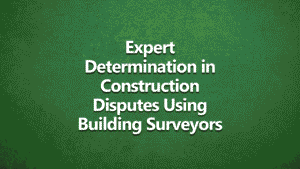 Building surveyor reviewing construction documents for expert determination in a property dispute.