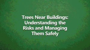 Dark Green with Bold White Writing saying Trees near buildings: understanding the risks and managing them safely