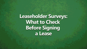 Leaseholder surveys: what to check before signing a lease - white text on dark green background.