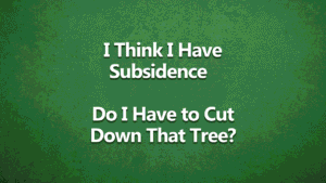 i think i have subsidence on green background