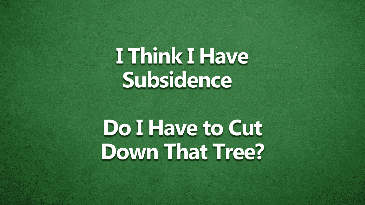 I Think I Have Subsidence – Do I Have to Cut Down That Tree?